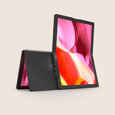 Single Flex Pro (Gen 1)